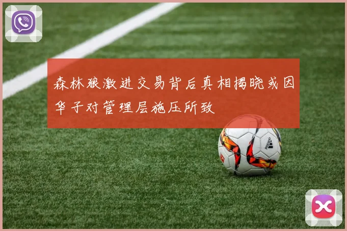 森林狼激进交易背后真相揭晓或因华子对管理层施压所致